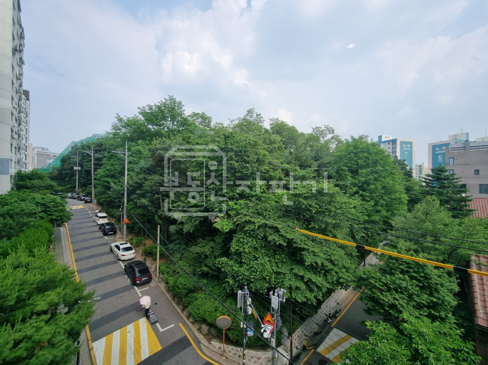 서울 강남구 청담동 청담역 6분, 지상5층~지하1층 신축건물 통임대 월세 매물번호 27616 사진 15