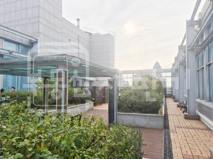 서울 강남구 역삼동 선릉역 3분, 지상19층건물 준통임대(지상3층~19층임대) 월세 매물번호 28371 사진 7