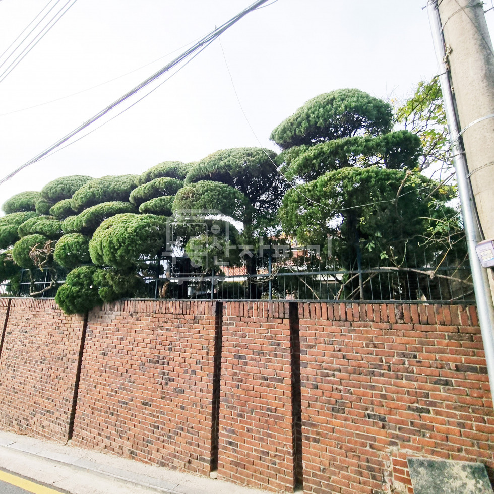 서울 강남구 역삼동 신논현/강남역 7분, 지상2층~지하1층 단독건물 통임대 월세 매물번호 27443 사진 2
